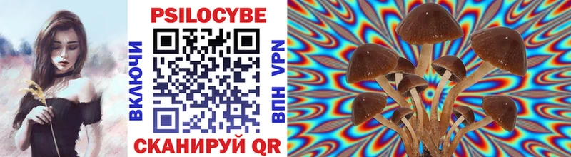 Псилоцибиновые грибы мухоморы Вяземский
